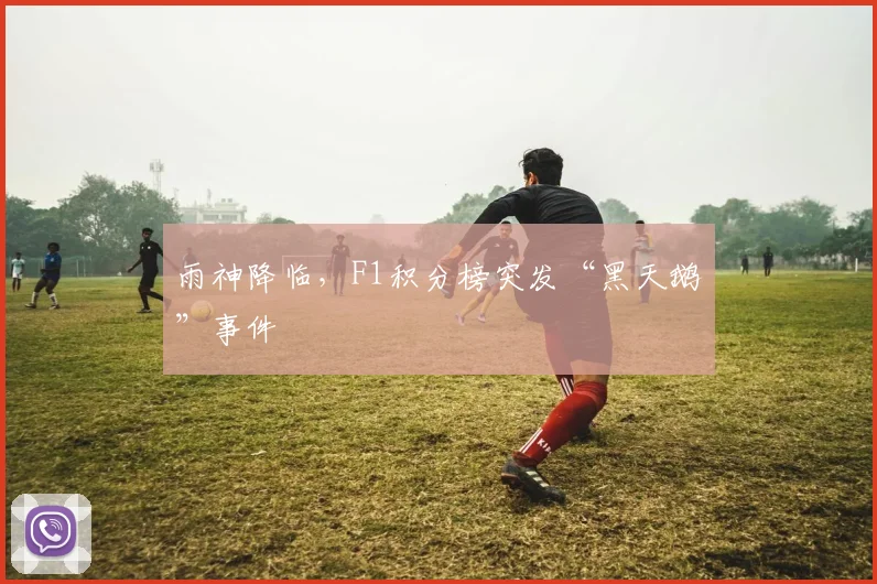 雨神降临，F1积分榜突发“黑天鹅”事件